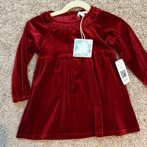 Chelsea & Violet Rich Burgundy Velvet Dress